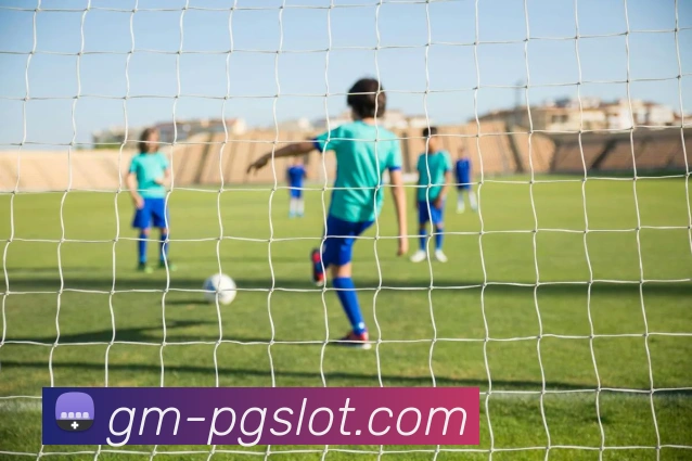 森林舞会官网服务体系